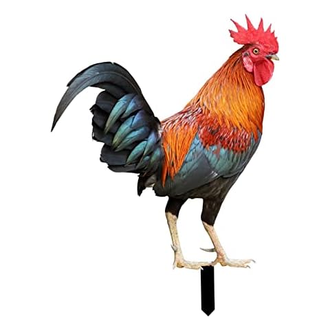 NeaxgeandX Statue de coq - Décoration de jardin Cover