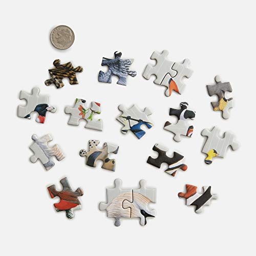 Sibley Backyard Birding Puzzle: 1000-Piece Jigsaw Puzzle With Portraits Of Favorite North American Birds : Jigsaw Puzzles For Adults (Sibley Birds) #TOP18