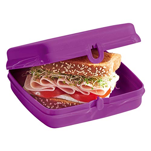El Mejor Listado de Loncheras tupperware los 5 más buscados. 2 loncheras tupperware marca Tupperware (2)