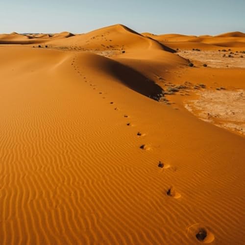 Episode 1657 - Jarvis Kingston MLB Season Opener Real Madrid NFL Schedule March Madness NBA Basketball UNC Breaking News Hump Day Bible Pray