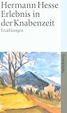 Erlebnis in der Knabenzeit: Sämtliche Erzählungen 1899-1902 (suhrkamp taschenbuch) - Hermann Hesse 