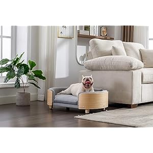   Scandinavian-Style-Elevated-Dog-Bed-Pet-Sofa-with-Solid-Wood-Legs-and-Bent-Wood-Back-Velvet-CushionMid-Size-Light-Grey