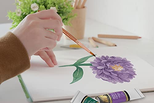 Myartscape Travel Paint Brush Set, 7 Ultra Short-Handle Brushes With Case Holder - For Watercolor, Gouache And Acrylic - Synthetic Hair - Ideal For Plein Air Painting - Art Supplies #TOP6