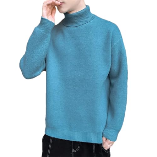 Men's Thick Knit Turtleneck Sweater Solid Warm Long Sleeve Casual Pullover Jumper