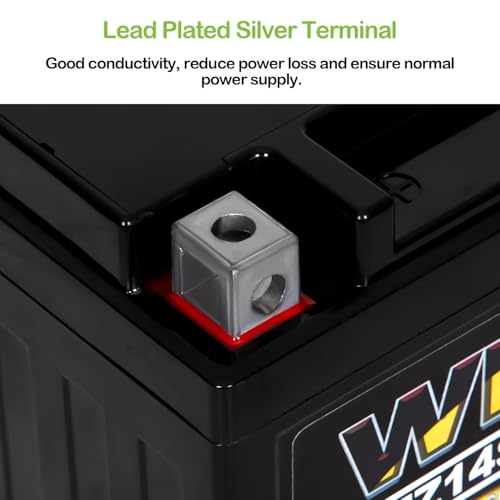 Image of WEIZE YTZ14S 12V 11.2AH 230CCA High Performance Maintenance Free Sealed Motorcycle Battery AGM Rechargeable Replacement for Honda, Yamaha, BMW Motorcycles & Scooters