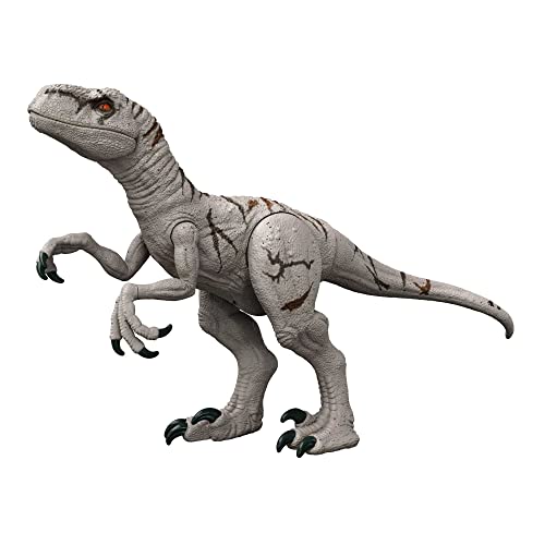 Mattel Jurassic World Dominion Large Dinsoaur Toy, Super Colossal Atrociraptor Action Figure 3 Feet Long with Eating Feature, Gift for Kids, HFR09