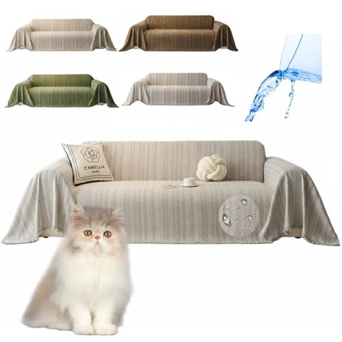 Lifetips yV Persian \t@[Jo[ k  􂦂 h }`Jo[ 2l| 3l| It IȂ ~ Eh~ LΉ lGʗp iO[j i230180CMj