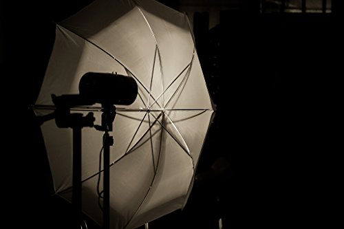 Lightdow Photography Photo Umbrella Lighting Kit for Portrait Studio YouTube Vlog Interview (Model Number: LD-TZ001)
