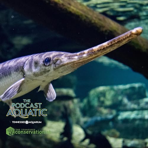 Gabbin' About Gar feat. Dr. Solomon David