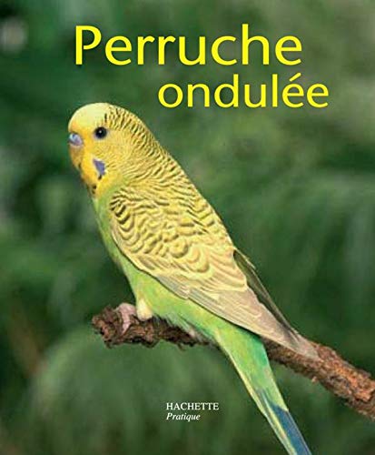 Télécharger Perruche ondulée Livre PDF Gratuit