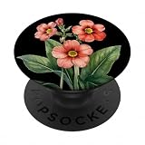 Primula Fiore Nome Scientifico Vintage Illustrazione Fiori PopSockets PopGrip Adesivo