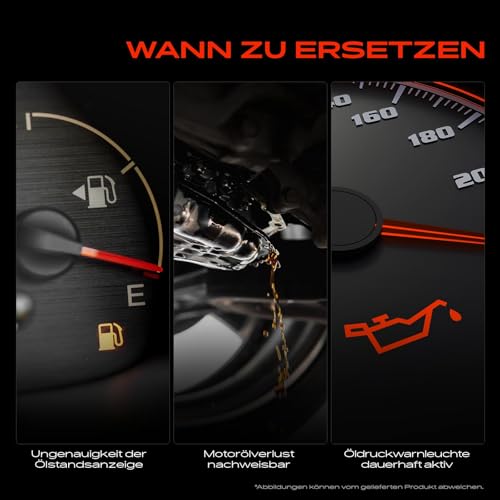 Frankberg Ölniveausensor für 1er E81 E82 E87 E88 3er E46 E90 E92 5er E39 E60 7er E38 E65 E66 E67 X3 E83 X5 E53 Z3 E36 Z4 E85 Z8 E52 1995-2013