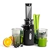 Ventray Ginnie Mini Cold Press Juicer, Small Slow Masticating Juicer for Vegetables and Fruits, High Juice Yield, Easy to Clean, Space-Saving, Fit for Personal/Travel/Picnic/Office - Black