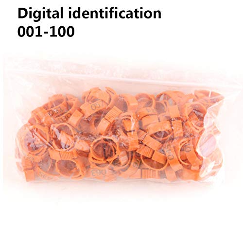 100PCS coscia di pollo anello piede di pollame