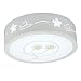 Produktbild LED Acryl Deckenleuchte Runde moderne minimalistische Wohnzimmer Lampe, 220 (V) 15 (W) / LED (Farbe : Weißes Licht)