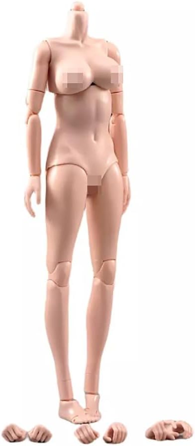 1/6 Scale Flexible Female Body 12" Pale Skin Super Large Breast Miniature Action Figure Body Doll Collection