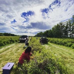 Kreg Alde - Broken Tine Orchard Podcast Por  arte de portada