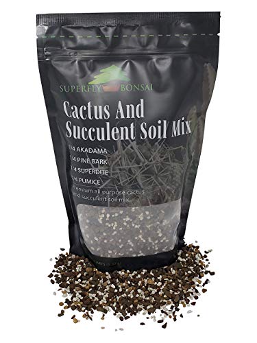 Succulent & Cactus Soil Mix - Premium Pre-Mixed Fast Draining Blend (2.5 Dry Quarts) #TOP6