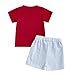 Licupiee Toddler Baby Boys Baseball Outfits Embroidery Short Sleeve T Shirts and Plaid Shorts Set 2Pcs Summer Clothes Sets (Red, 18-24 Months)