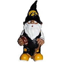 FOCO NCAA Iowa 2008 Team Gnome