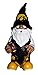 Iowa 2008 Team Gnome