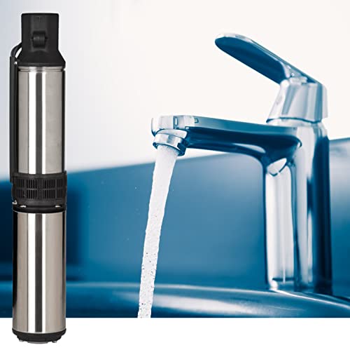 Red Lion Rl12G10-2W2V 4-Inch Submersible Deep Well Pump, 1 Hp, 12 Gpm 2-Wire, 230-Volt, Steel, 14942404 #TOP2