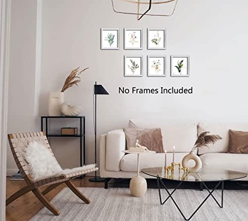 Wall Art Botanical Canvas Print Pictures Watercolor Floral Artworks Leaves Plant Boho Paintings 8X10 Inches Set Of 6 Unframed For Kitchen #TOP6