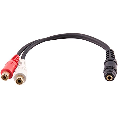 Seismic Audio 6 Inch 3.5Mm Dual Rca Female Stereo Splitter Cable-Extender Cord (Sa-Y25) #TOP15