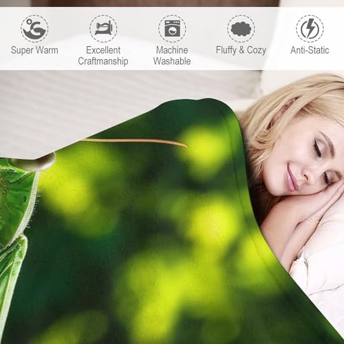 Couverture polaire mante religieuse pour soirées cocooning sur canape et voyage