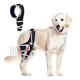 Dog Knee Brace for Torn ACL Hind Leg, Dog CCL Brace Front Leg or Rear Leg with Cruciate Ligament Injuries, Rear Leg or Front Legs Support Brace, L