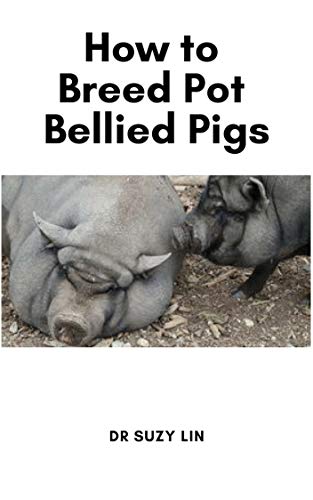 breeding pot belly pigs