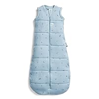 ergoPouch 2.5 TOG Sleeping Bag, 2-4 Years, Dragonflies Print – Organic Jersey Cotton, Sleeveless, Arms-Out Design, Warm & Comfortable, Ideal For Room Temperatures (15–21°C)