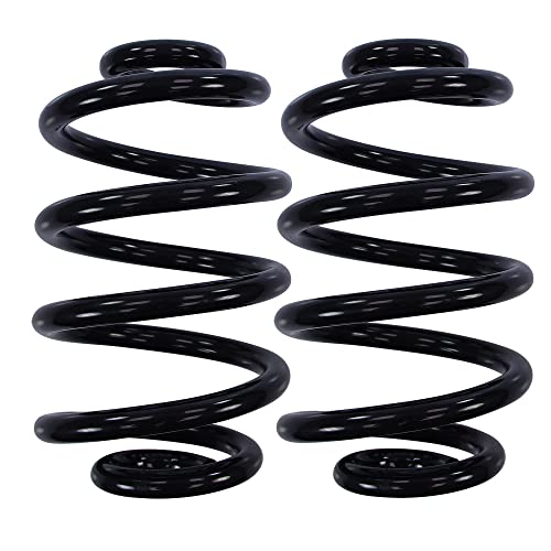 BESTPRICE 2x Muelle suspensión trasera miniblock izquierda derecha, versión reforzada compatible con BMW Serie 3 Coupe (E46), 3 Convertible (E46), 3 (E46), 3 Touring (E46)