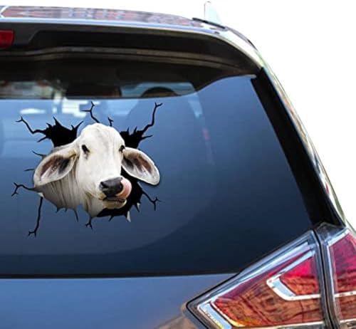 ROMOER Calcomanías De Vaca Brahman para Paredes, Calcomanía De Vaca, Calcomanía De Granja, Calcomanías Traseras para Camiones, Adhesivos para Ventanas Limpias De Granjeros