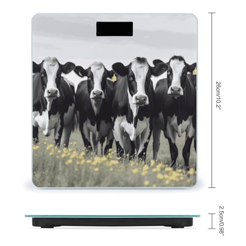 Báscula digital para baño con plataforma vidrio templado 400 lb miniatura 2