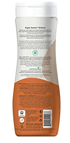 Attitude Hair Shampoo Coconut Oil, Ewg Verified, Plant- And Mineral-Based Ingredients, Vegan And Cruelty-Free Beauty And Personal Care Products, Wavy And Curly, 16 Fl Oz #TOP1