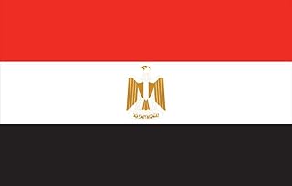 Allied Flag Outdoor Nylon Egypt United Nation Flag, 4 by 6-Feet