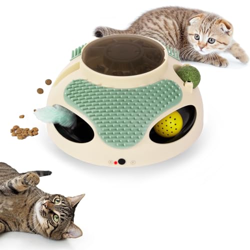 Why Do Cats Lick Their Paws Then Wipe Their Face My Pets Guide