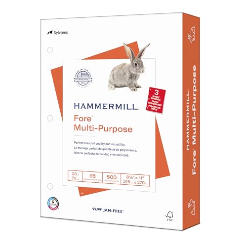 Hammermill Printer Paper, Fore Multipurpose 20 lb Copy Paper, 3 hole – 1 Ream (500 Sheets) – 96 Bright, Made in the USA