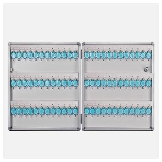 Pink Palm Armario de llaves de montaje en pared, caja de seguridad con etiquetas, nizer para coche, garaje, casa, alquiler, oficina, solución de almacenamiento seguro de negocios