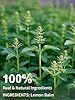 TeeLux Lemon Balm Tea Bags, Pure & Natural Lemon B... #2