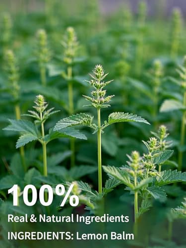 Image of TeeLux Lemon Balm Tea Bags, Pure & Natural Lemon Balm Herbal Tea, Lemony & Citrusy Flavor, Caffeine Free, 100 Count