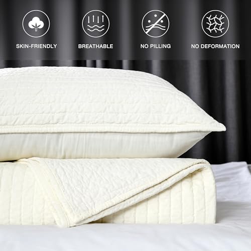 ELEGANT LIFE HOME Velvet Quilt Queen Reversible Royal Cotton Velvet Pic-Stitch Bedding Quilt - Queen - 88''x 92'', Ivory by ELEGANT LIFE HOME - Image 2