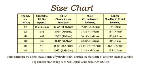 Dressy Daisy Princess Ballet Leotards Tutu Dress For Baby Girls Ballerina Outfits Dance Costume Dancewear With Tulle Skirt And Accessories Size 18-24 Months Blue 077 thumb #6