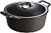 Lodge Pro-Logic P12D3 Cast Iron Dutch Oven, Black, 7-Quart