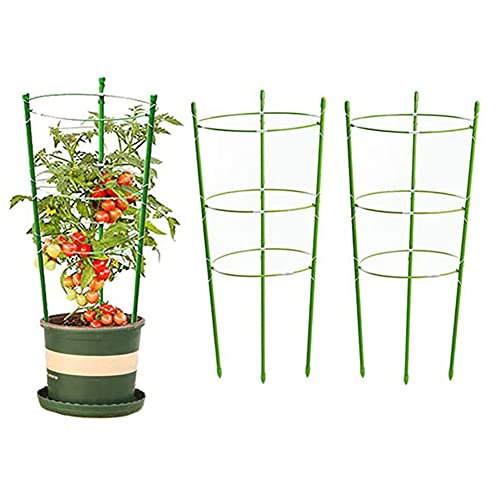 Ochine 2 Pack Garden Plant Support Tomato Cage Plant Stakes Garden Plant Tomato Support Rings 17.7 Inch Trellis For Climbing Plants, Plant Trellis Kits With 4 Self Watering Nails And 4 Plant Clips #TOP28