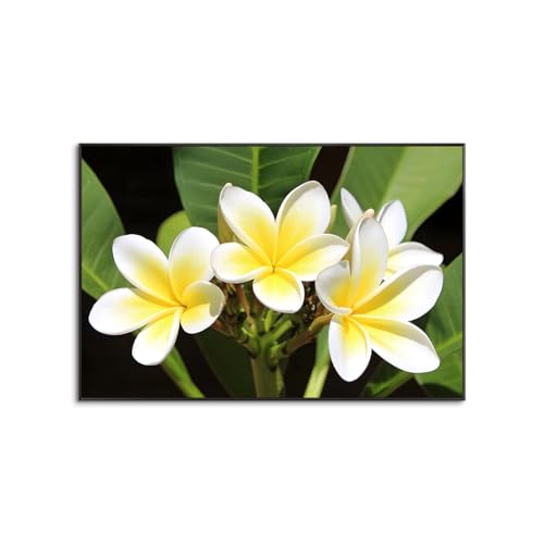 A~g̊i oG vA A[gpl  CeA   o G Ǌ| oA[g nC ? (40x60cmi16x24inj,A)