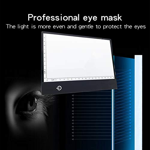 Canvall Flipbook Set with LED Light Box