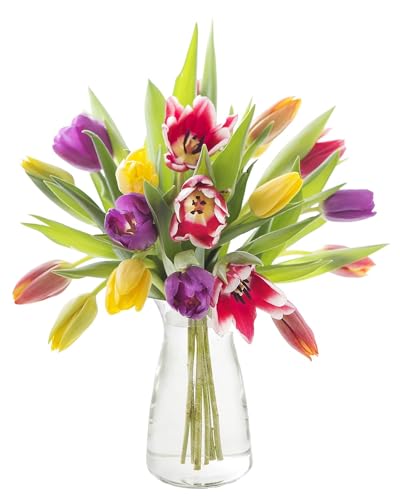 Image of KaBloom-20 Assorted Tulip Bouquet,Flowers for Valentine, Mother's Day
