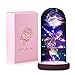 Produktbild QUNPON Muttertagsgeschenk für Mama, Ewige Rose im Glas Die Schöne und das Biest Rose in Glaskuppel, Sparkly Galaxy Rose mit LED-Lichter, Geschenke für Frauen Oma Geburtstag Freundin